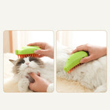 3 In 1 Pet Steam Brush Cat & Dog Cleaning Steamy Spray Massage