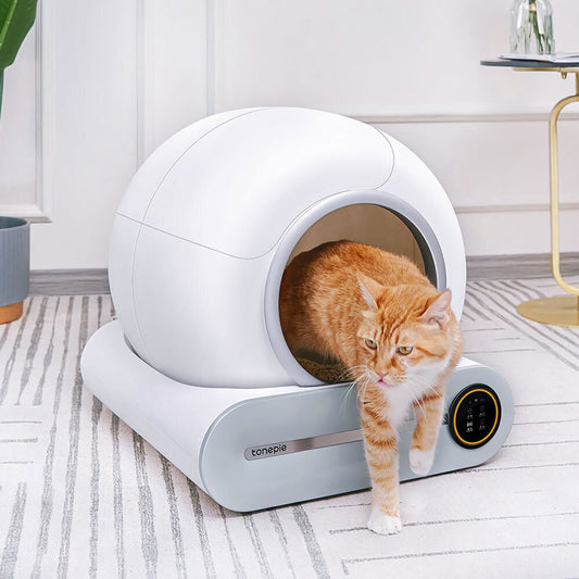 Intelligent Cat Litter Automatic Fully